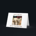 CARTE **TWIN BROTHER** PARTAGER LES ANNIVERSEMENTS EST G<br><div class="desc">merci de vous être arrêté par l'un de mes huit magasins</div>