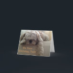 CARTE **TWIN** SOUHAITE QUE JE PUISSE DIRE HEUREUX ANNIV<br><div class="desc">LAISSEZ "VOTRE VIE" SAVOIR COMBIEN ELLE SIGNIFIE "VOUS" AVEC CETTE TRÈS **SUEET PUPPY** QUI LUI PERMETTRA DE VOUS CONNAÎTRE "VRAIMENT SOUHAITE" QUE VOUS POURRIEZ DIRE ***JOUR ANNIVERSAIRE EN PERSONNE****</div>