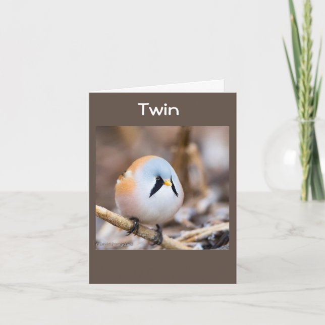 CARTE **TWIN** TWEETING HAPPY BANTHDAN CARD (Devant)