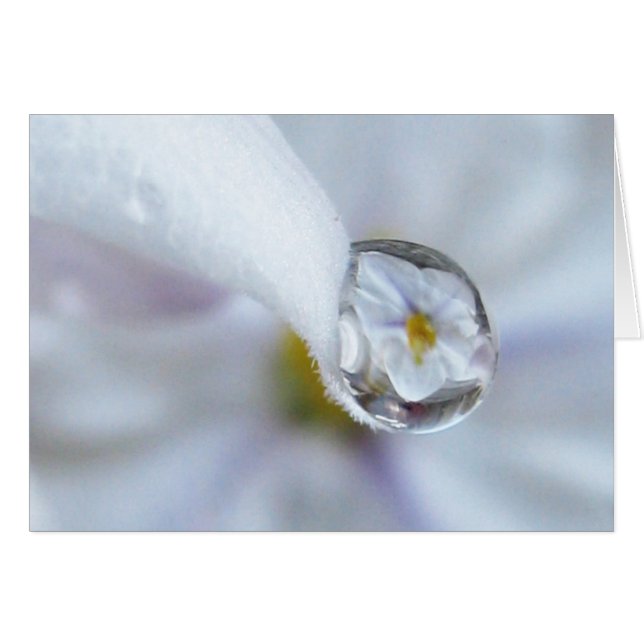 Carte Twinkle Twinkle (Devant horizontal)