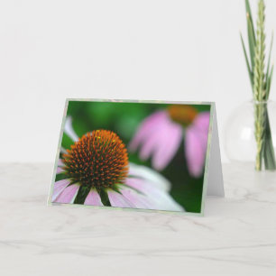 Carte Two echinacea
