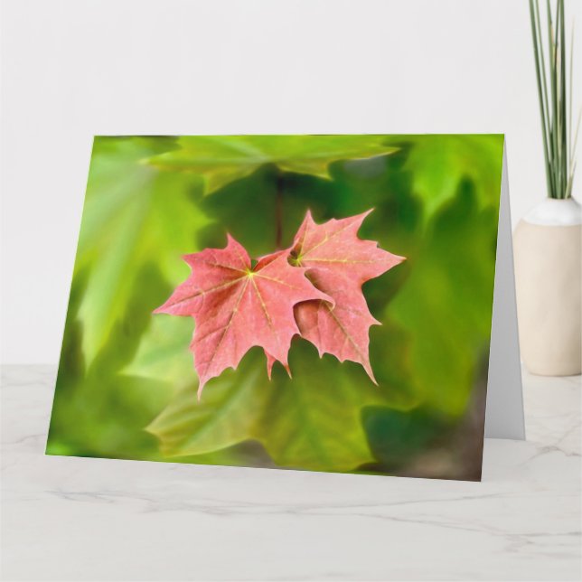 Carte Two maple leaves (Devant)