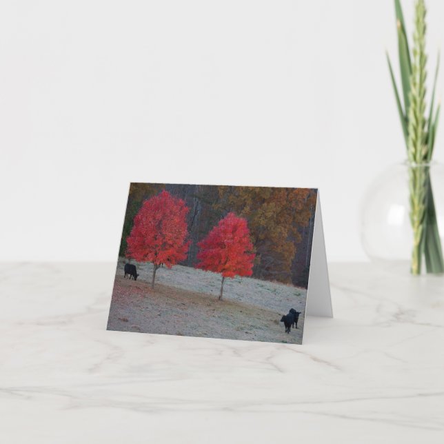 Carte two maples three cow (Devant)