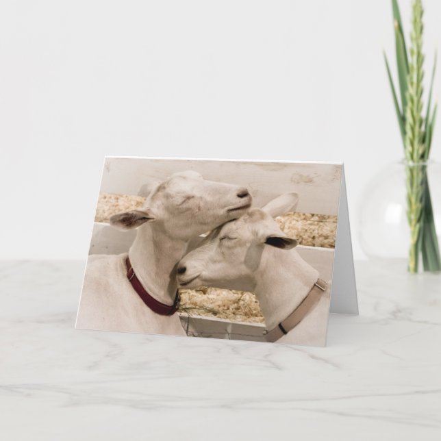 Carte Two of a Kind Loving Goat Couple (Devant)