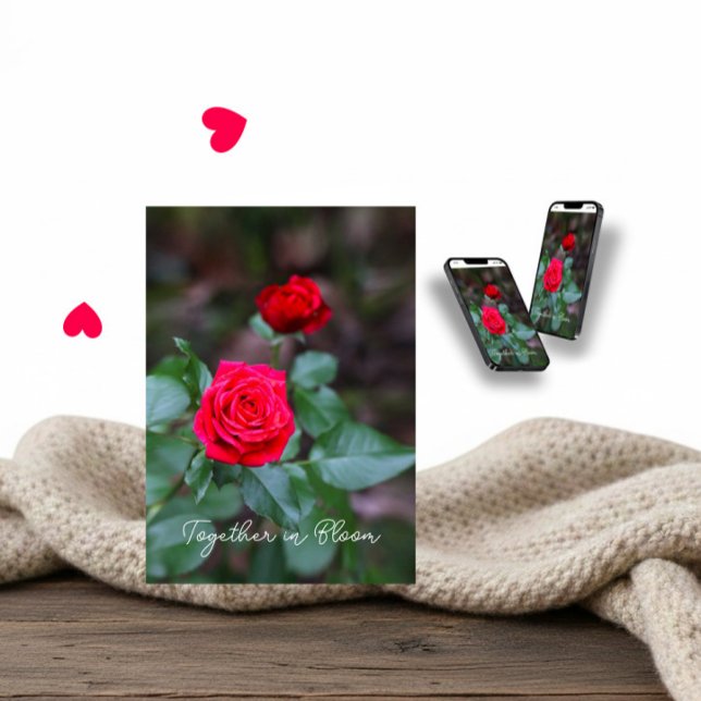 Carte Two red roses for Valentine’s Day (Créateur téléchargé)