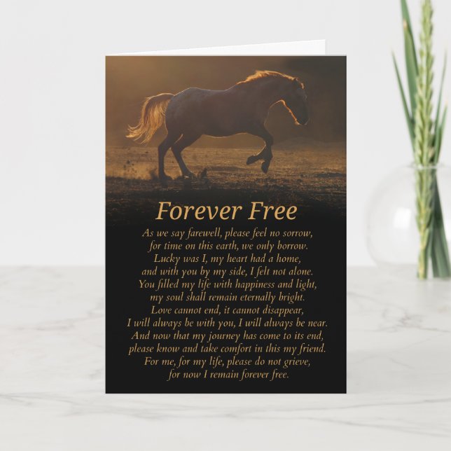 Carte Type spirituel sympathie de cheval (Devant)