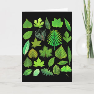 Carte Types de feuilles d'arbre Biologie Nature Éducatif