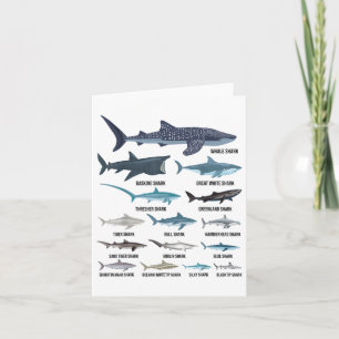 Carte Types De Requins Espèces De Requin Identification
