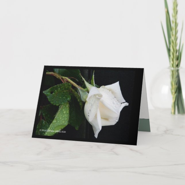 Carte Un arc au matin (Devant)