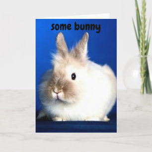 CARTE UN BUNNY AIME "VOUS"