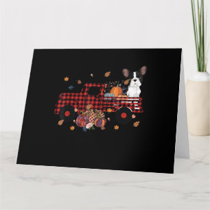 Carte Un cadeau d'Halloween pour le Citrouille Bulldog