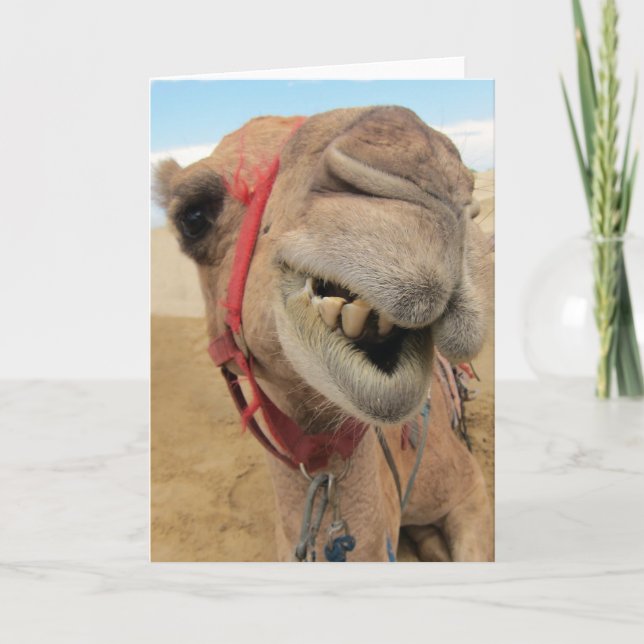 Carte Un Camel Gai (Devant)