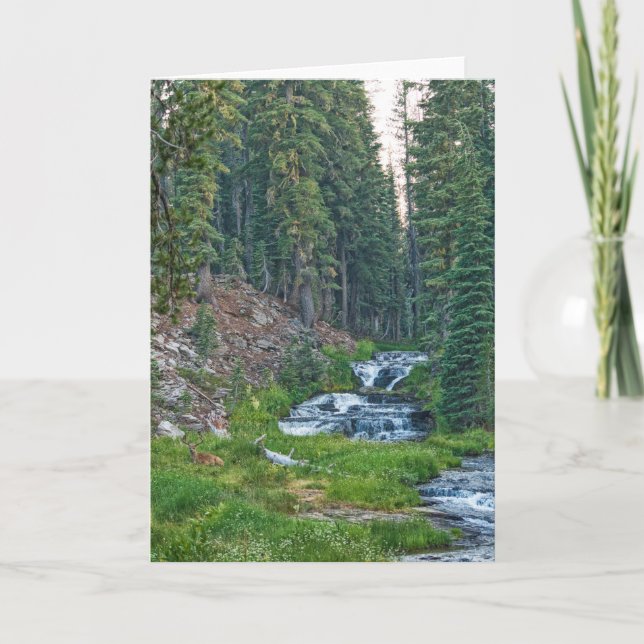 Carte Un canard repose sur une rivière en cascade (Devant)