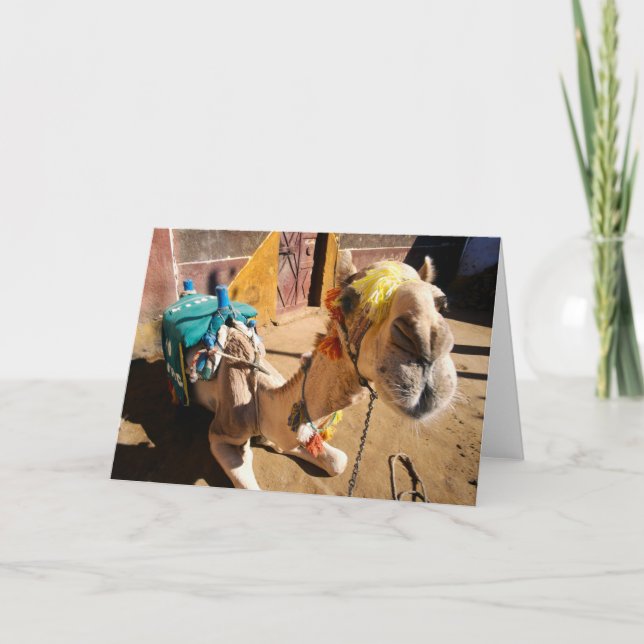 Carte Un chameau amical attend son prochain cavalier, le (Devant)