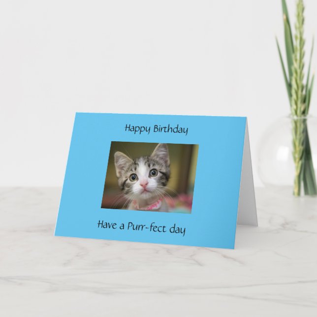 Carte Un chaton mignon aux yeux verts (Devant)