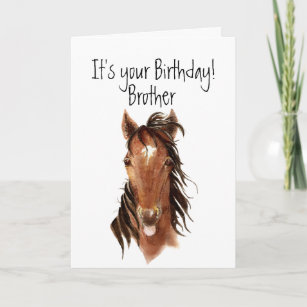 Cartes Drole Cheval D Anniversaire Zazzle Fr