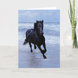 Cartes De Vœux Chevaux Sauvages Zazzle Fr