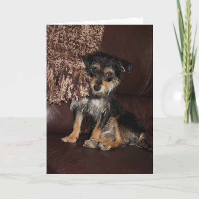 Carte Un chien adorable et mignon qui pense à vous (Devant)