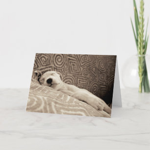 Carte Un chien fatigué