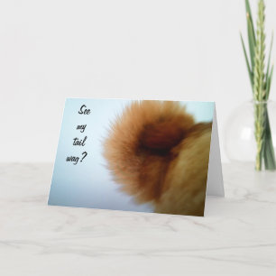 CARTE UN CHIEN HEUREUX QUI GAGNE DES TAILLES