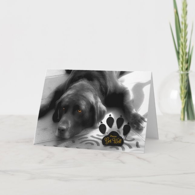 Carte Un chien mignon qui va bien pour l'amoureux des an (Devant)