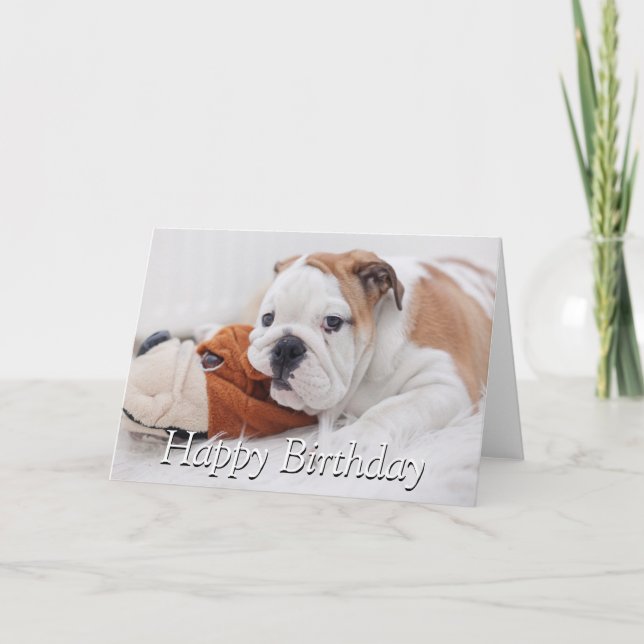 Carte Un Chiot-Chien Anglais Qui Joue Avec Un Chien-Ciel (Devant)