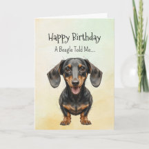 Un Dachshund Personnalité Anniversaire Fun Animal