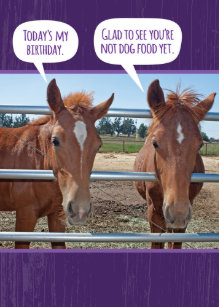 Cartes Drole Cheval D Anniversaire Zazzle Fr