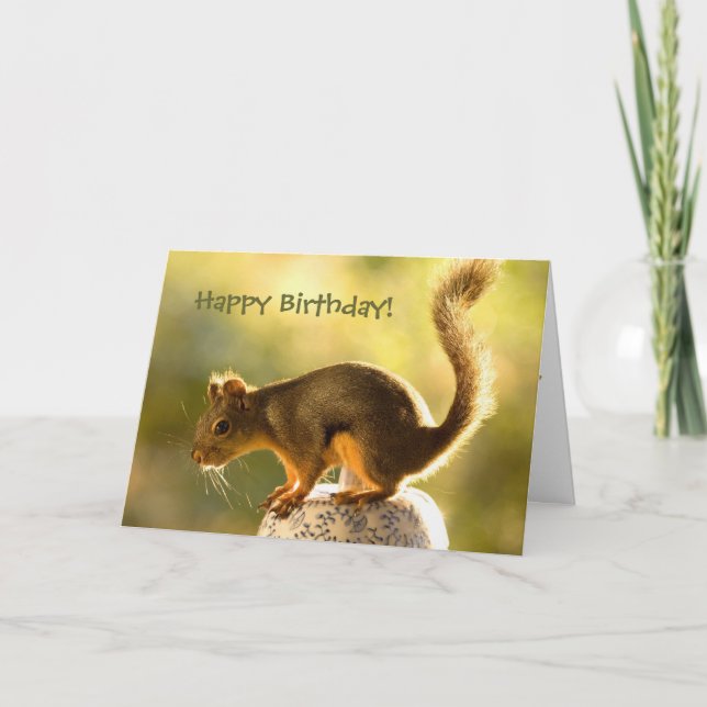 Carte Un écureuil mignon sur un bocal à biscuits (Devant)
