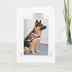 Carte Un Équipe de Chien Guide Diplômée avec un Berger A