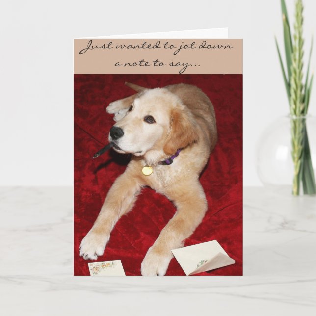 Carte Un Golden Écrivant Un Note Dit Désolant (Devant)