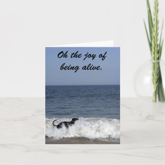 Carte Un hound grisâtre qui profite du surf. (Devant)