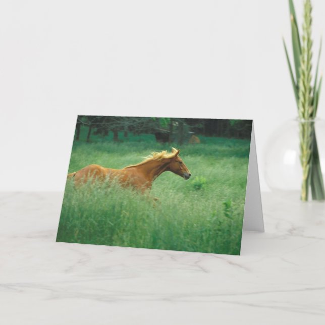 Carte Un Jeune Stallion Traverse Le Milieu (Devant)