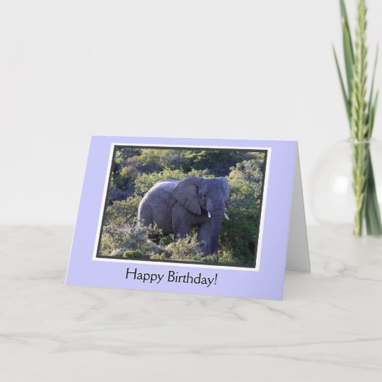 Carte Un Joyeux Anniversaire D Elephant Dans Les Arbres Zazzle Fr