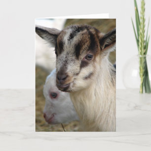 Carte Un mignon petit Billy