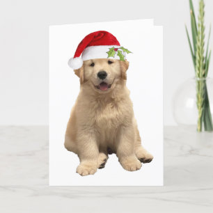 Carte Un Noël Archie
