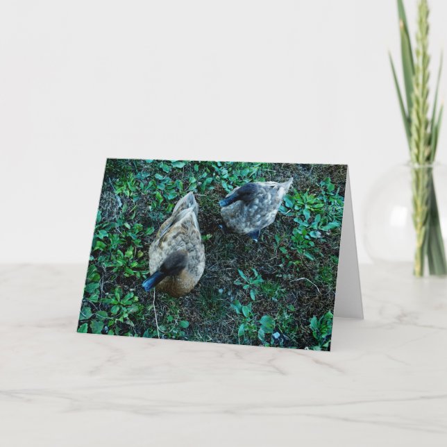 Carte "Un paradoxe" - Une paire de canards parmi les Feu (Devant)