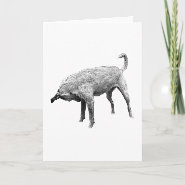 Carte Un petit encouragement pour le nez (Devant)