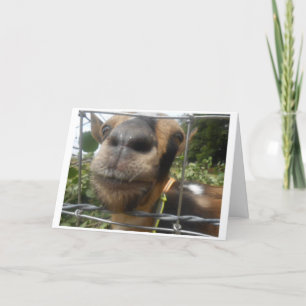 CARTE UN PETIT JE SOUHAITE UN PETIT ANNIVERSAIRE.