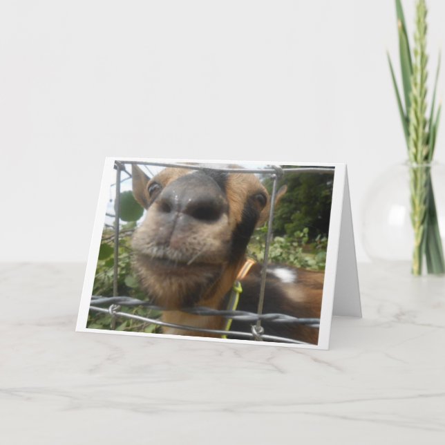 CARTE UN PETIT JE SOUHAITE UN PETIT ANNIVERSAIRE. (Devant)