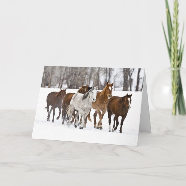 Carte Un Pittoresque hivernal de chevaux de course (Devant)