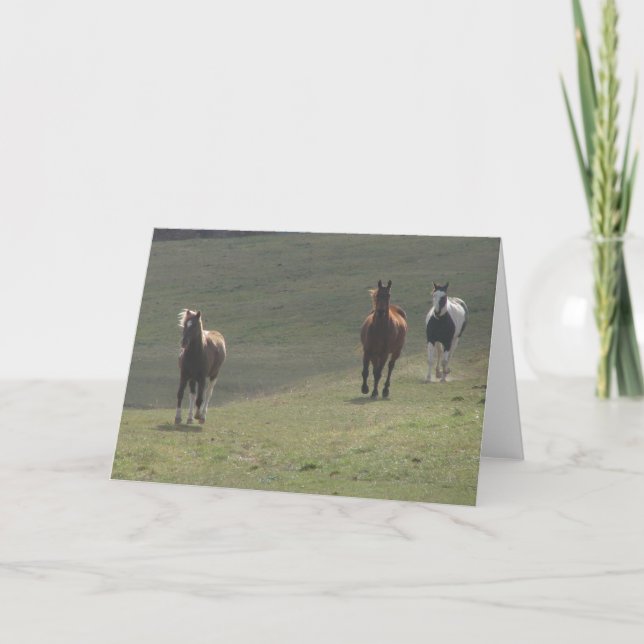 Carte Un poney et deux chevaux (Devant)