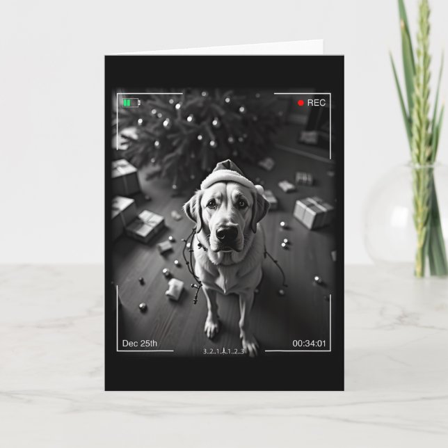 Carte Un Retriever Du Labrador De Noël Capturé À L'Appar (Devant)