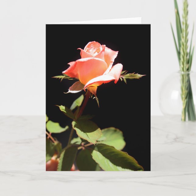 Carte Un rose unique -a (Devant)