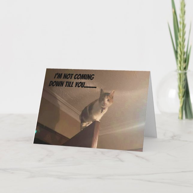 CARTE UN SÉRIEUX CHAT DIT "JOLI ANNIVERSAIRE" (Devant)