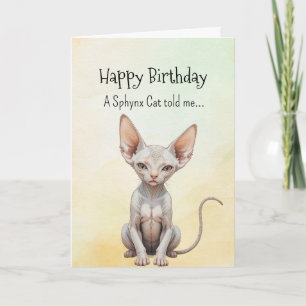 Carte Un Sphynx Chat Personnalité Anniversaire Animaux a