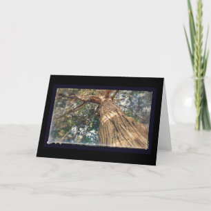 Carte Un Très Beau Arbre