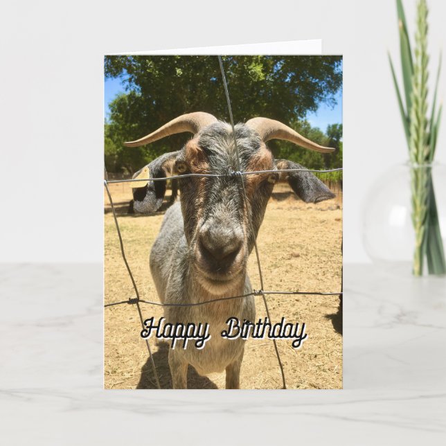 Carte Un vœu d'anniversaire pour une chèvre (Devant)