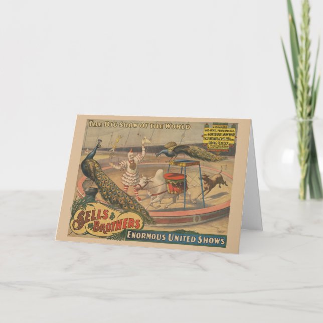 Carte Un Zébu Et Un Peacock Avec Un Entraîneur De Clown (Devant)