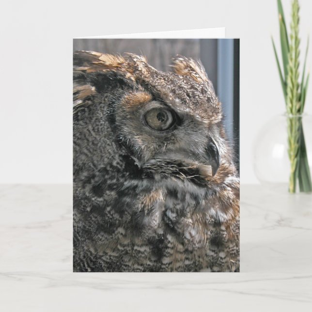 Carte Une autre année plus sage (Devant)